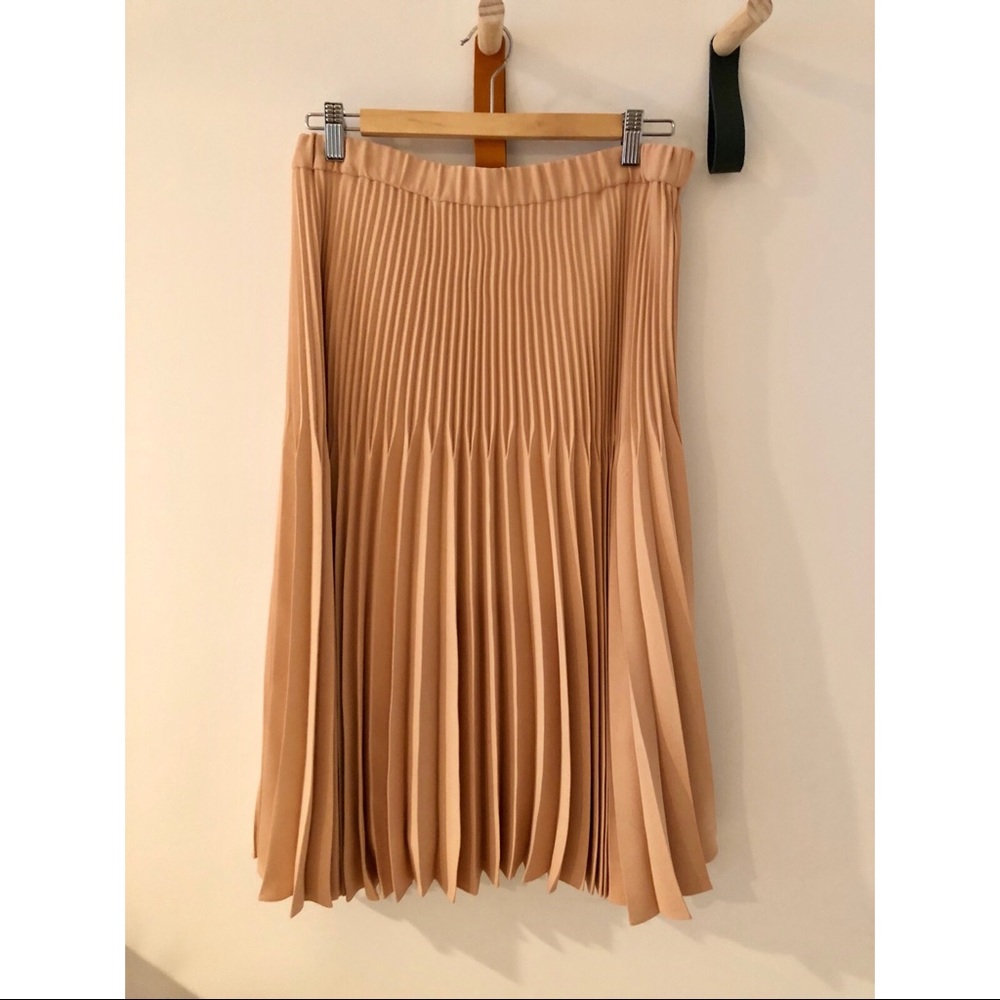 Club Monaco Pleated Pink Skirt